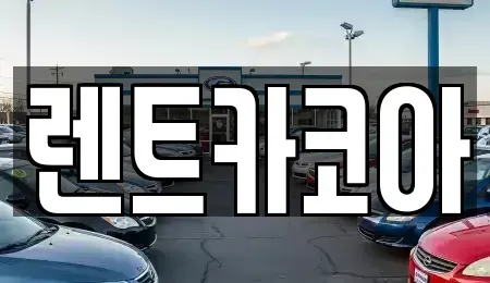 서울특별시 중구 회현동3가 렌트카 전문 렌트카코아