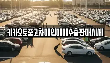 서울특별시 중구 회현동3가 중고차매입 전문 카카오토중고차매입매매수출판매시세