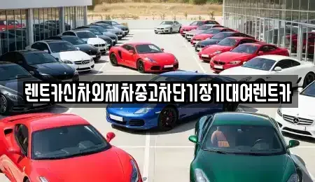서울특별시 중랑구 상봉동 장기렌트카 전문 렌트카신차외제차중고차단기장기대여렌트카