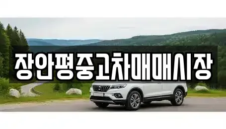 서울특별시 중랑구 상봉동 중고차 전문 장안평중고차매매시장