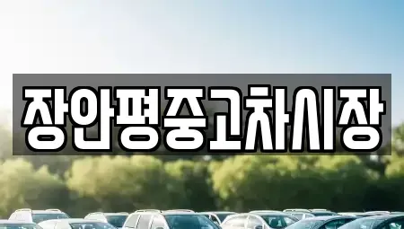서울특별시 중랑구 상봉동 중고차 전문 장안평중고차시장
