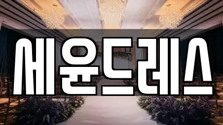 세윤드레스
