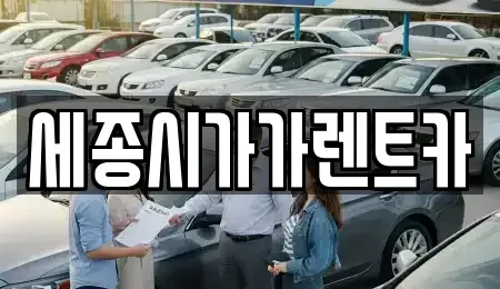 세종 금남면 단기렌트카 전문 세종시가가렌트카