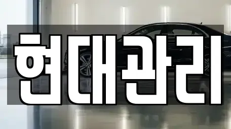세종 금남면 렌트카 전문 현대관리