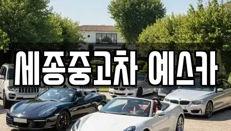 세종 금남면 중고차 전문 세종중고차 예스카