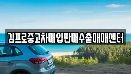 세종 금남면 중고차매입 전문 김프로중고차매입판매수출매매센터