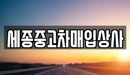 세종 금남면 중고차매입 전문 세종중고차매입상사