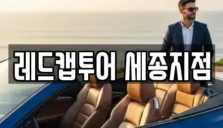 세종 어진동 렌트카 전문 레드캡투어 세종지점