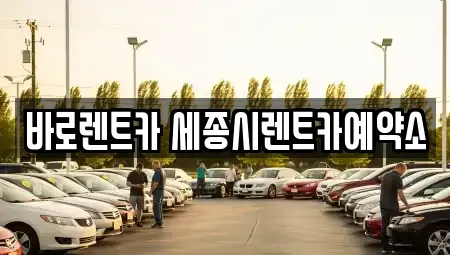 세종 어진동 렌트카 전문 바로렌트카 세종시렌트카예약소