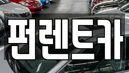 세종 어진동 장기렌트카 전문 펀렌트카
