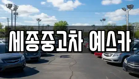 세종 어진동 중고차 전문 세종중고차 예스카