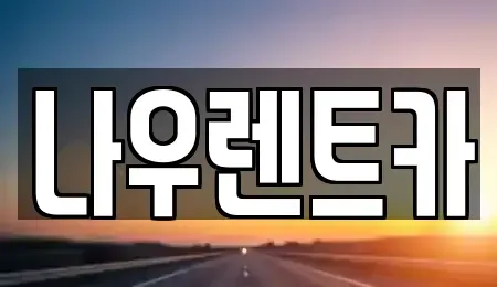세종 조치원읍 렌트카 전문 나우렌트카