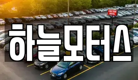 세종 조치원읍 중고차 전문 하늘모터스