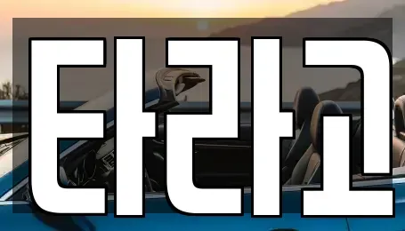 세종 집현동 단기렌트카 전문 타라고