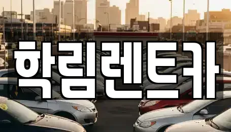세종 집현동 렌트카 전문 학림렌트카