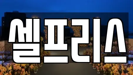 셀프리스