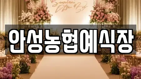 추천 안성시 서인동 예식장 TOP 6 위치