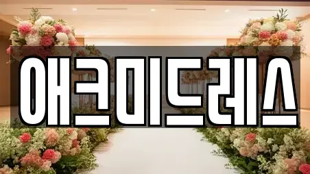 애크미드레스