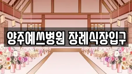 양주예쓰병원 장례식장입구