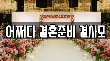 어쩌다 결혼준비 결사모