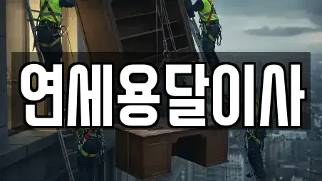 연세용달이사