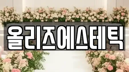 올리즈에스테틱
