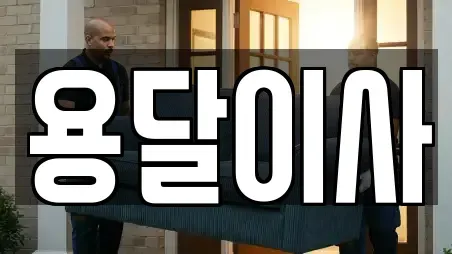 용달이사