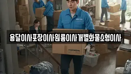 용달이사포장이사원룸이사개별화물소형이사