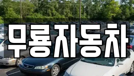 울산 남구 달동 중고차매매 전문 무룡자동차