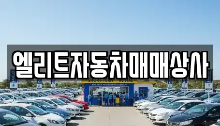 울산 남구 달동 중고차매매 전문 엘리트자동차매매상사