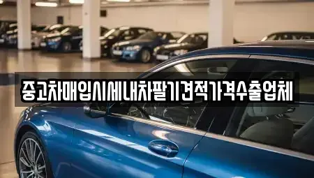 울산 남구 달동 중고차매입 전문 중고차매입시세내차팔기견적가격수출업체