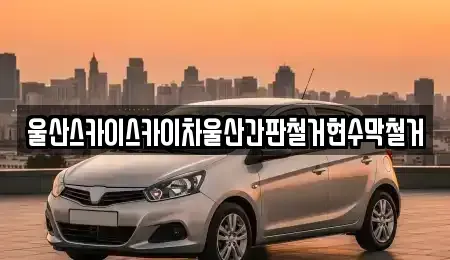 울산 남구 부곡동 중고차 전문 울산스카이스카이차울산간판철거현수막철거