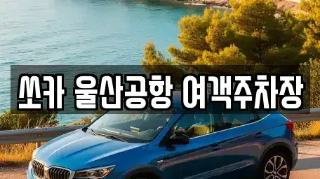 울산 북구 송정동 렌트카 전문 쏘카 울산공항 여객주차장