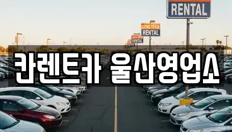울산광역시 남구 옥동 렌트카 전문 칸렌트카 울산영업소