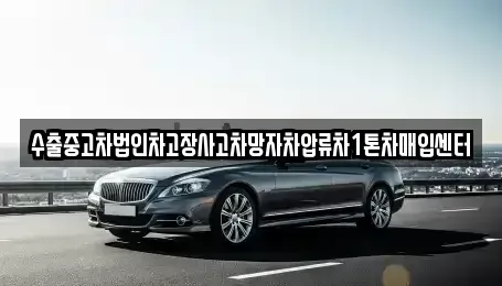 울산광역시 남구 옥동 중고차 전문 수출중고차법인차고장사고차망자차압류차1톤차매입센터