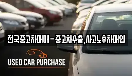 울산광역시 남구 옥동 중고차 전문 전국중고차매매-중고차수출,사고노후차매입