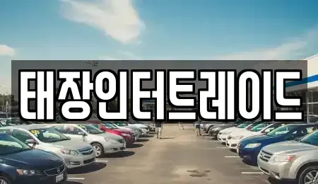울산광역시 남구 옥동 중고차 전문 태장인터트레이드