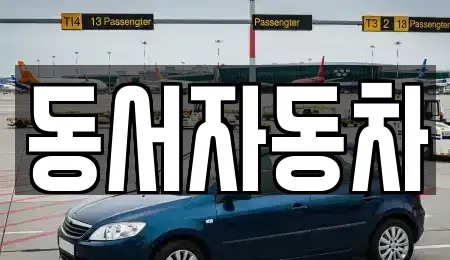 울산광역시 울주군 웅촌면 중고차 전문 동서자동차