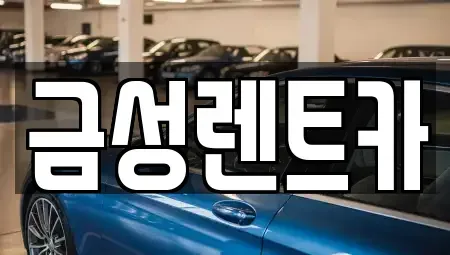 울산광역시 중구 복산동 렌트카 전문 금성렌트카