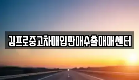 울산광역시 중구 복산동 중고차 전문 김프로중고차매입판매수출매매센터