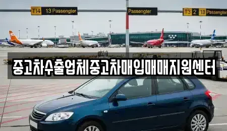 울산광역시 중구 복산동 중고차 전문 중고차수출업체중고차매입매매지원센터