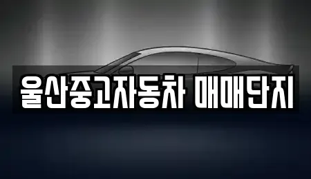 울산광역시 중구 서동 중고차 전문 울산중고자동차 매매단지