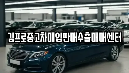 울산광역시 중구 서동 중고차매입 전문 김프로중고차매입판매수출매매센터