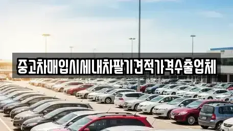 울산광역시 중구 서동 중고차매입 전문 중고차매입시세내차팔기견적가격수출업체