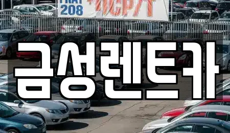 울산광역시 중구 태화동 렌트카 전문 금성렌트카