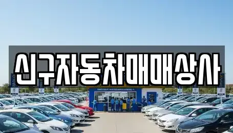 울산광역시 중구 태화동 중고차매매 전문 신구자동차매매상사