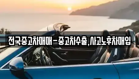 울산광역시 중구 태화동 중고차매입 전문 전국중고차매매-중고차수출,사고노후차매입