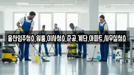 울산 북구 달천동 우리동네 입주청소 전문 업체 9
