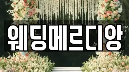 예식장 전문 북구 고성동3가 컬렉션 10