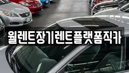 인천 강화군 강화읍 장기렌트카 전문 월렌트장기렌트플랫폼직카